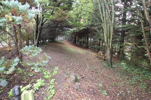 Photo 17- click for photo gallery